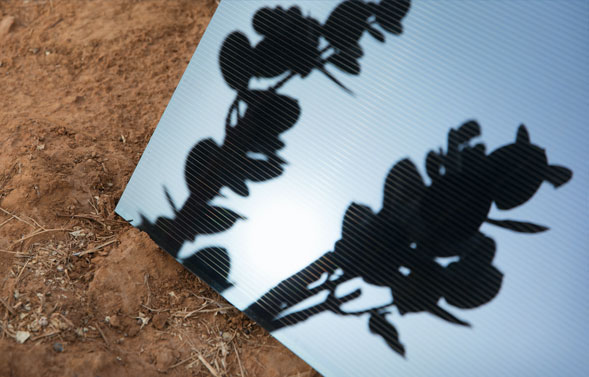 Close image of a solar panel
