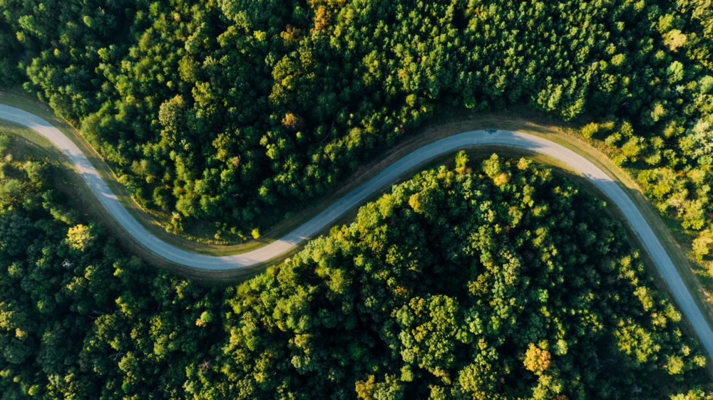 Aerial photo of empty meandering road in between forest.
